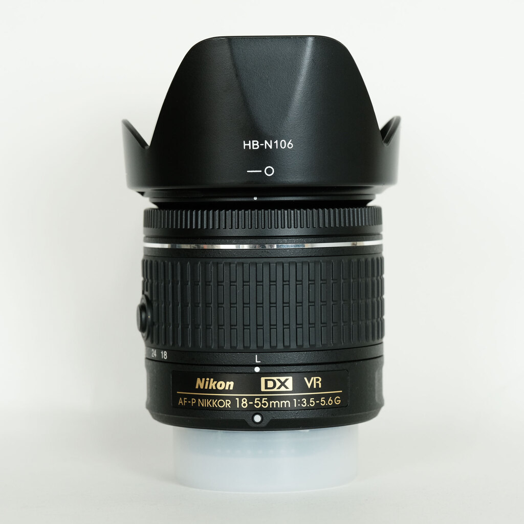 Nikon AF-P DX NIKKOR 18-55mm F3.5-5.6G VR
