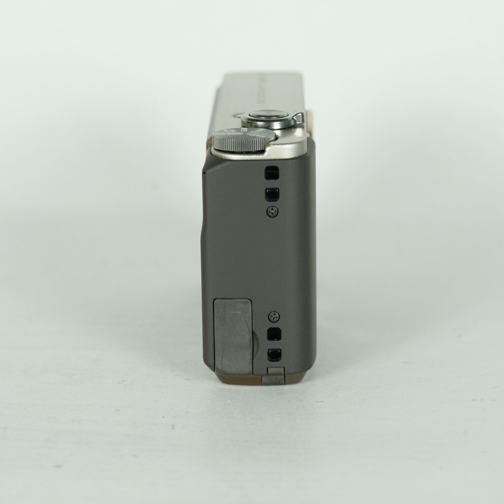 RICOH R10 �u���E�� R10 �u���E��