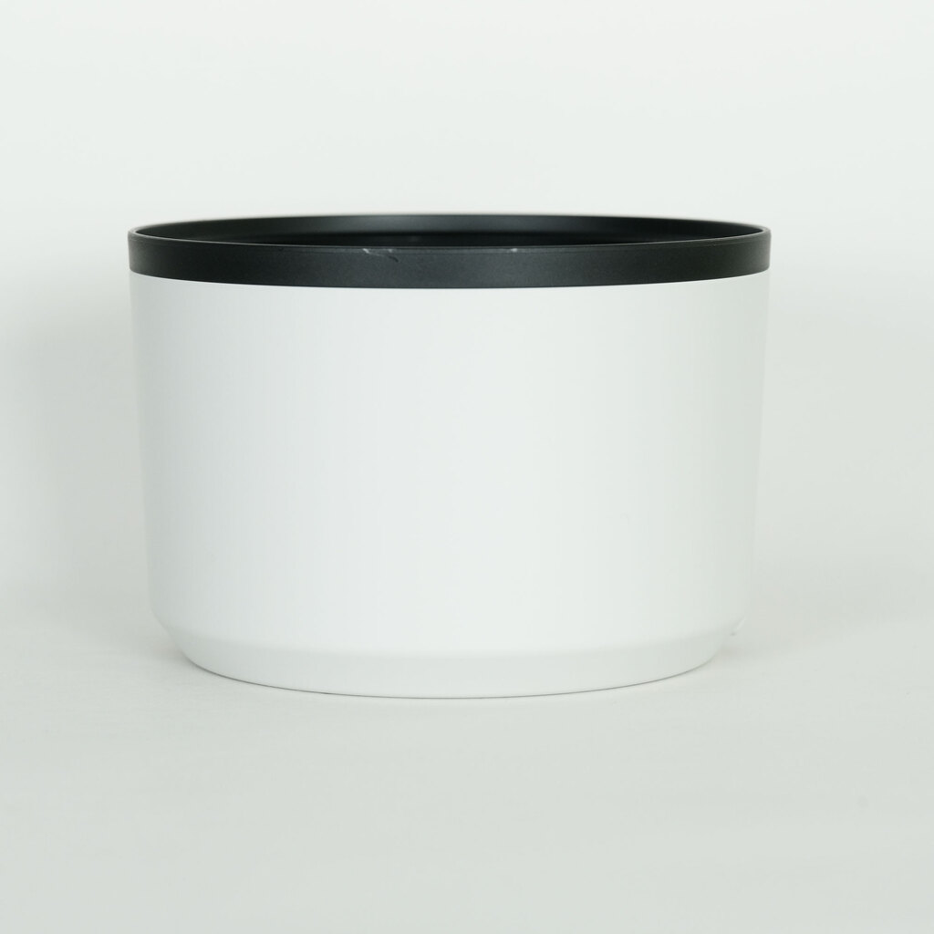 Canon RF70-200mm F2.8 L IS USM