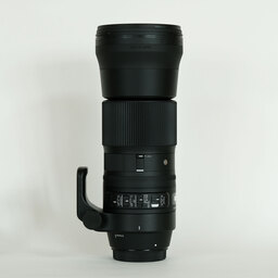 SIGMA 150-600mm F5-6.3 DG OS HSM | Contemporary [キヤノンEF用]