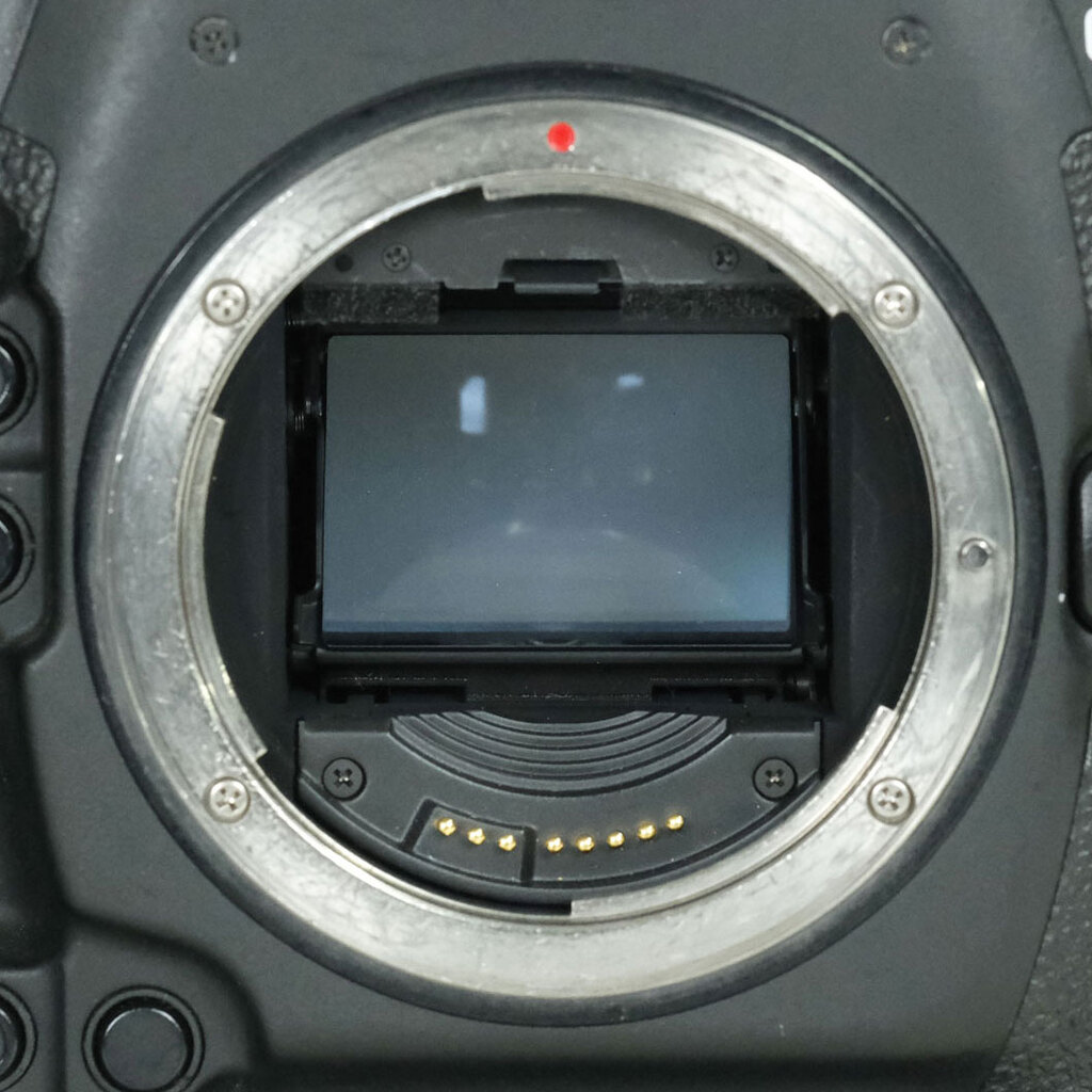 Canon EOS-1D X Mark II