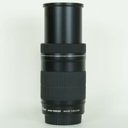 Canon EF-S55-250mm F4-5.6 IS STM