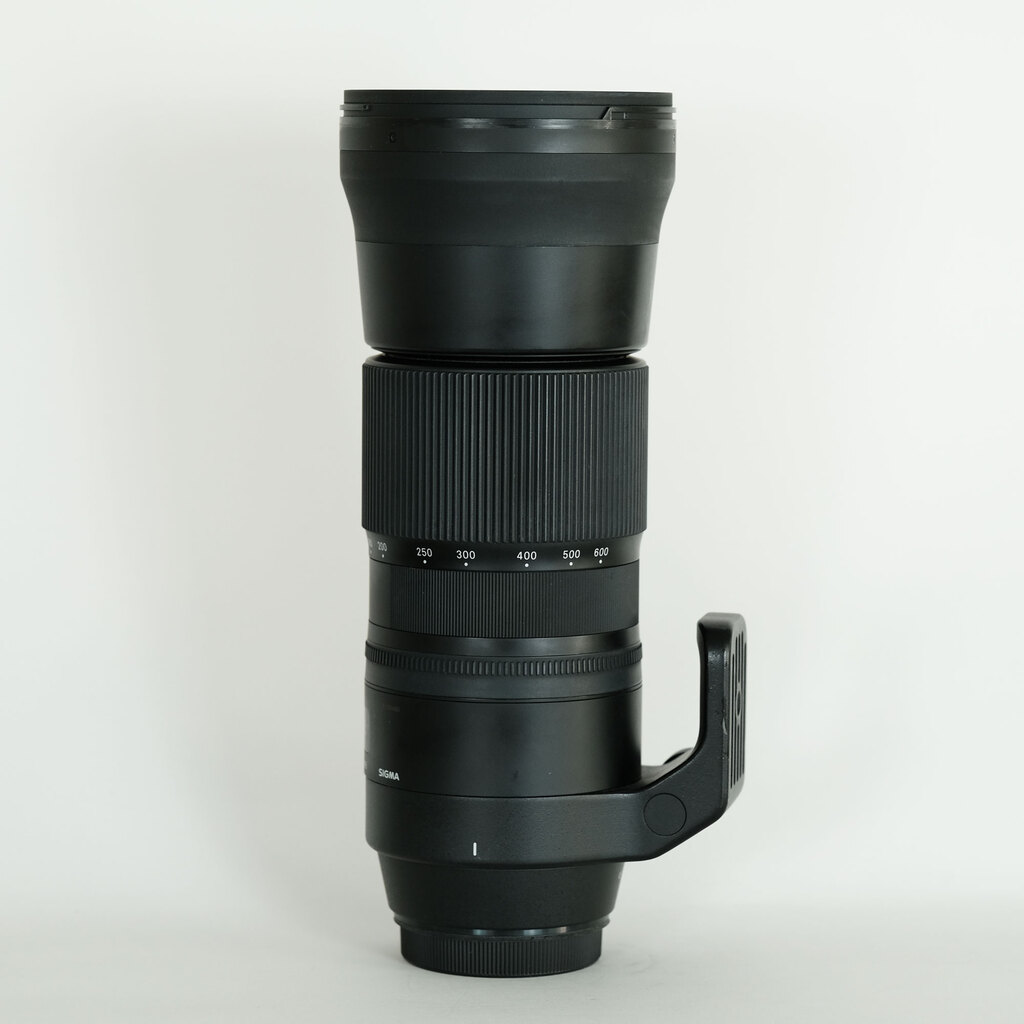 SIGMA 150-600mm F5-6.3 DG OS HSM | Contemporary [キヤノンEF用]の