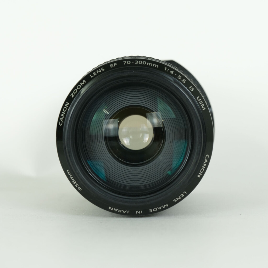 Canon EF70-300mm F4-5.6 IS USM