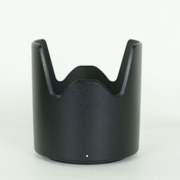 TAMRON SP 70-300mm F4-5.6 Di VC USD/Model A005NII(ニコン用)