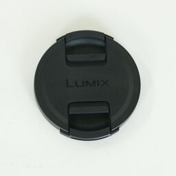 Panasonic LUMIX S 24-105mm F4 MACRO O.I.S.