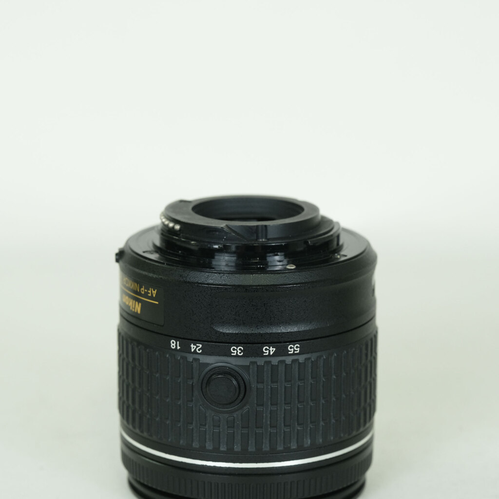 Nikon AF-P DX NIKKOR 18-55mm F3.5-5.6G VR