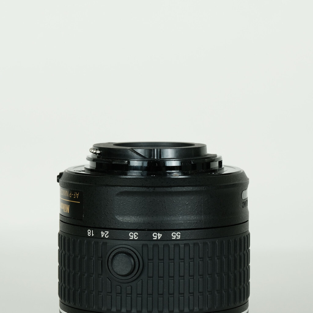 Nikon AF-P DX NIKKOR 18-55mm F3.5-5.6G VR
