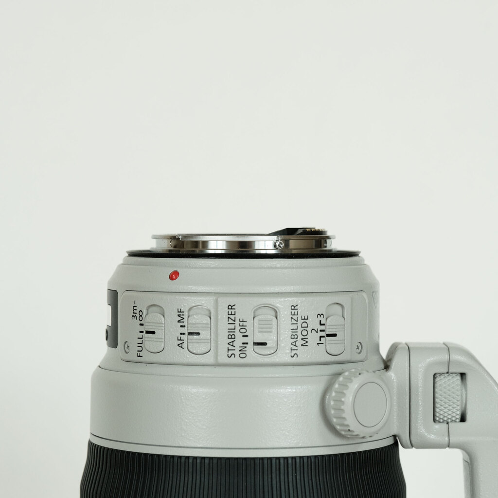 Canon EF100-400mm F4.5-5.6L IS II USM