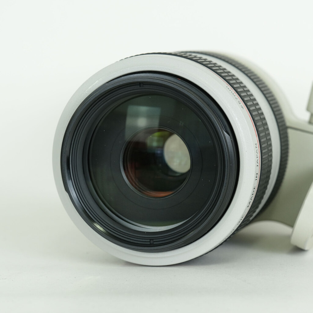 Canon EF70-300mm F4-5.6L IS USM