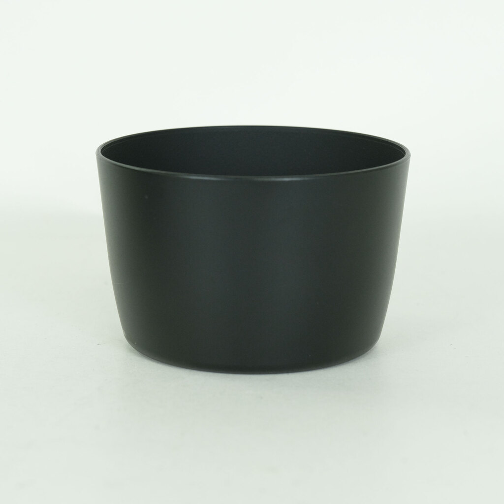 Canon EF-S55-250mm F4-5.6 IS II