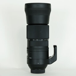 SIGMA 150-600mm F5-6.3 DG OS HSM｜Contemporary [ニコンF用]