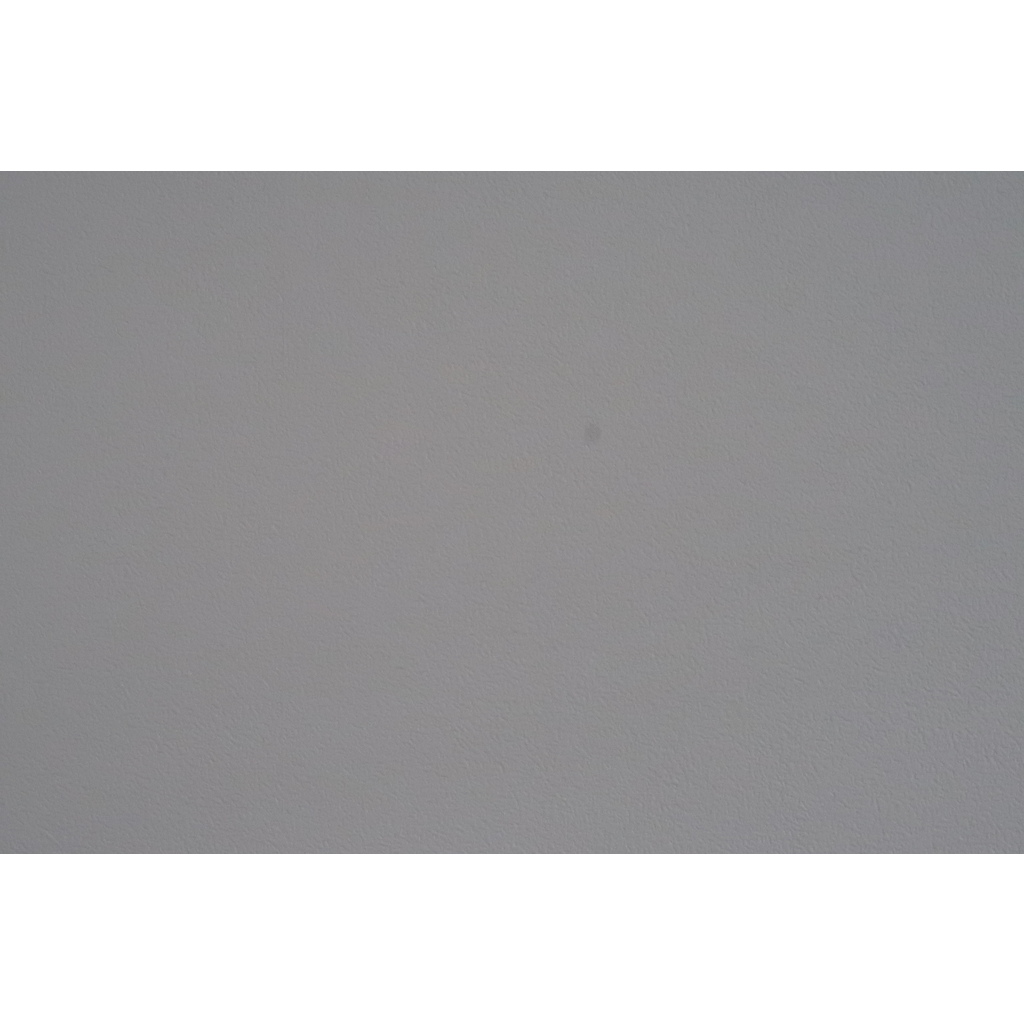 Canon PowerShot G7X Mark II