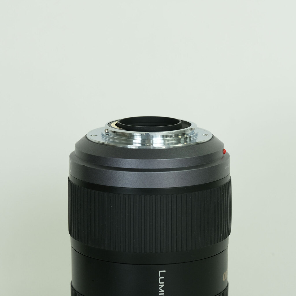 Panasonic LUMIX G VARIO 45-200mm F4.0-F5.6 MEGA O.I.S. H-FS045200