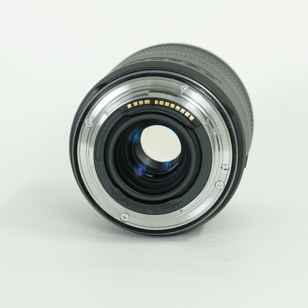 Canon RF28-70mm F2.8 IS STM