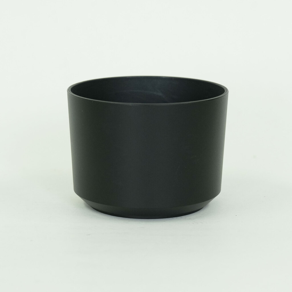 SONY E 55-210mm F4.5-6.3 OSS SEL55210