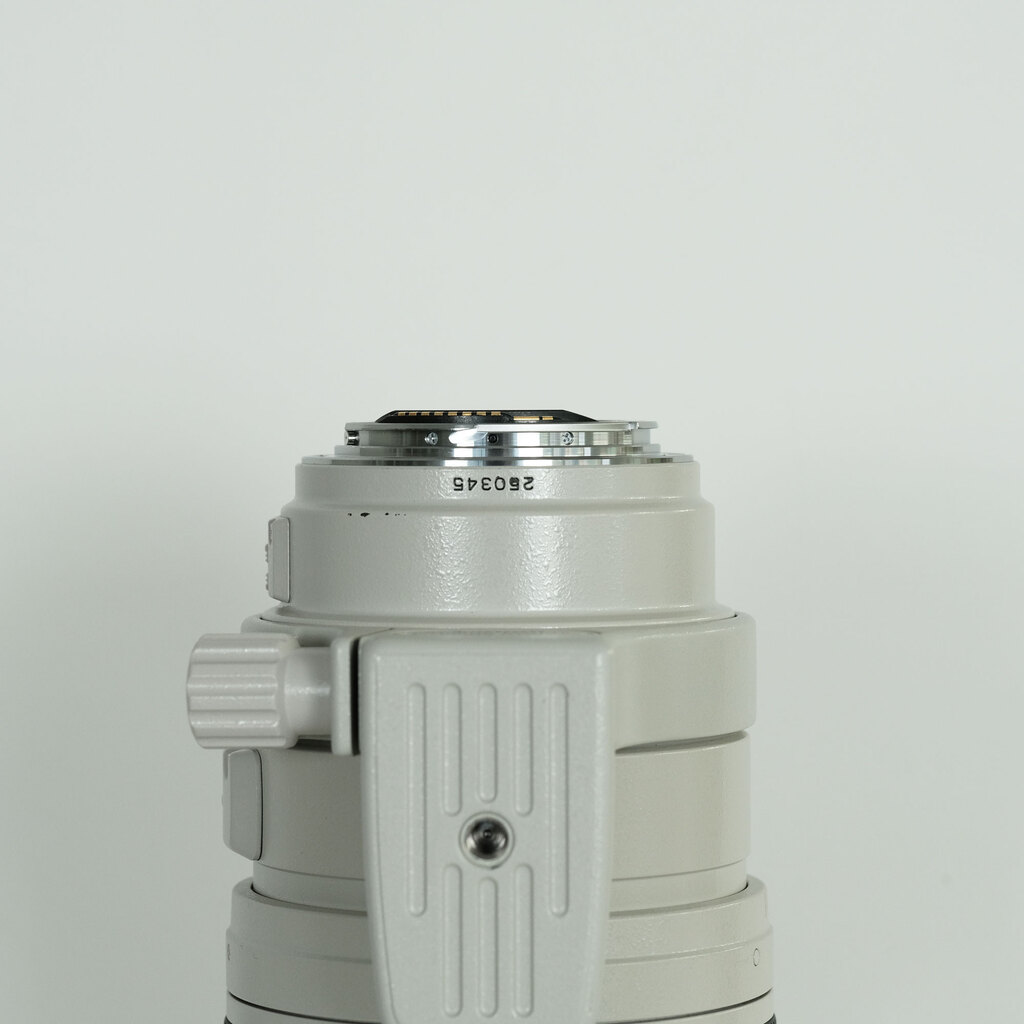 Canon EF100-400mm F4.5-5.6L IS USM