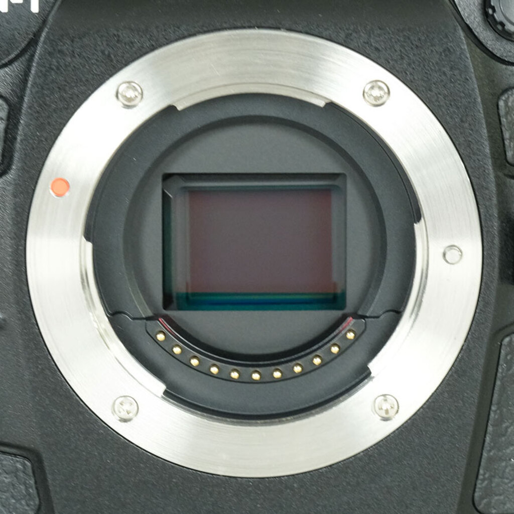 OM SYSTEM OM-1 Mark II