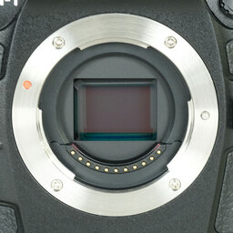 OM SYSTEM OM-1 Mark II