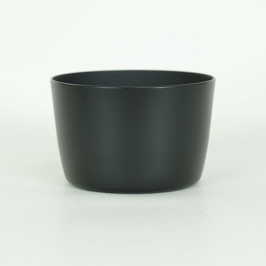 Canon EF-S55-250mm F4-5.6 IS