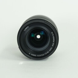 Panasonic LUMIX G VARIO 12-60mm / F3.5-5.6 ASPH. / POWER O.I.S.