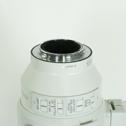 SONY FE 200-600mm F5.6-6.3 G OSS SEL200600G