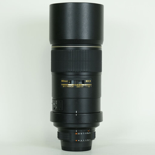 Nikon Ai AF-S Nikkor 300mm f/4D IF-ED