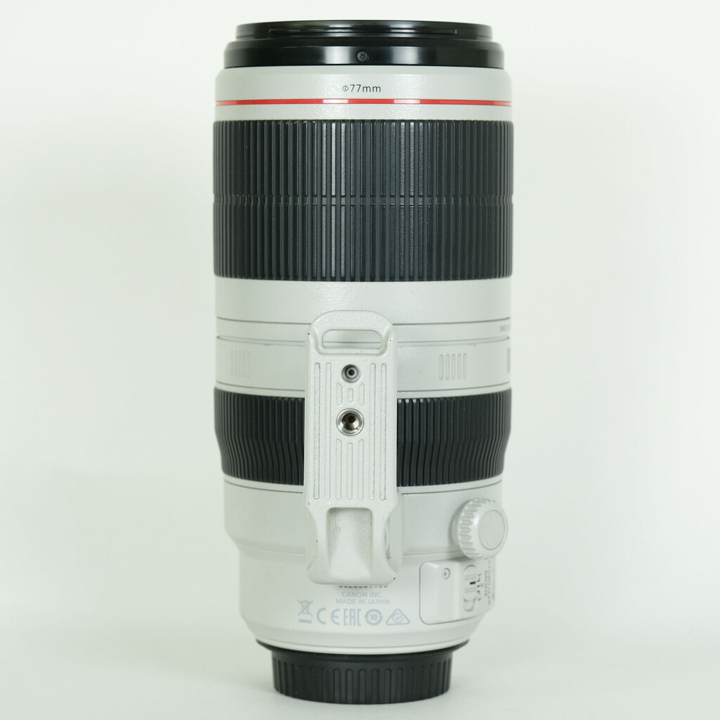 Canon EF100-400mm F4.5-5.6L IS II USM
