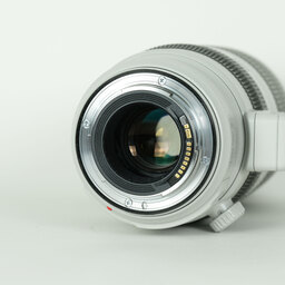 Canon EF100-400mm F4.5-5.6L IS II USM