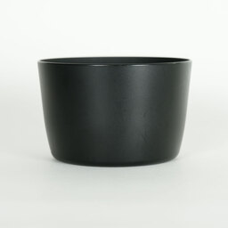 Canon EF-S55-250mm F4-5.6 IS