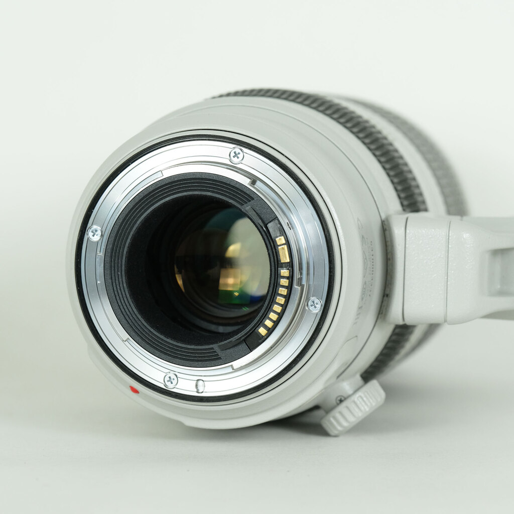 Canon EF100-400mm F4.5-5.6L IS II USM