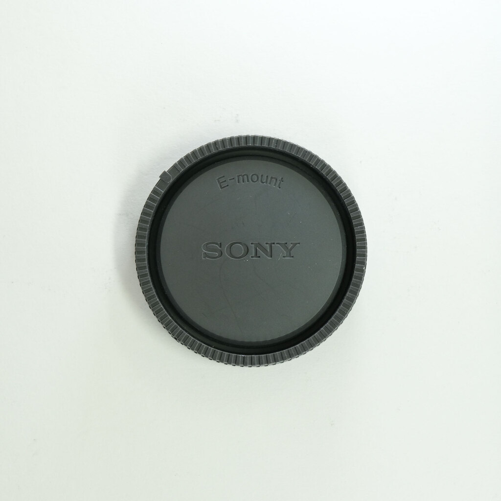 SONY FE 24-105mm F4 G OSS SEL24105G
