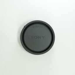 SONY FE 24-105mm F4 G OSS SEL24105G