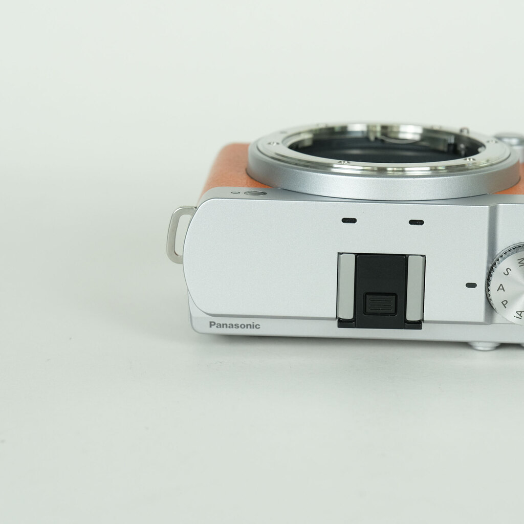 Panasonic LUMIX DC-S9