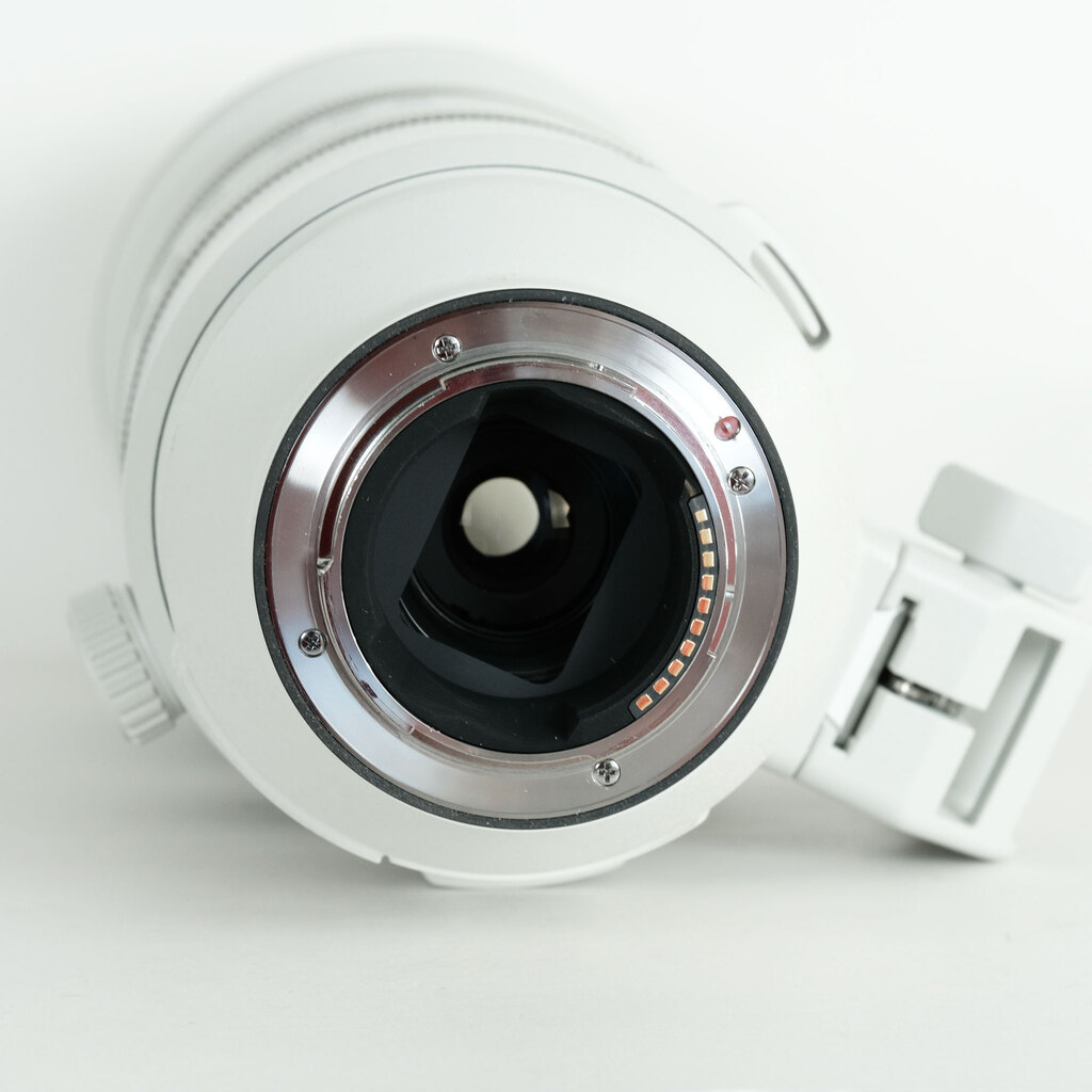 SONY FE 200-600mm F5.6-6.3 G OSS SEL200600G