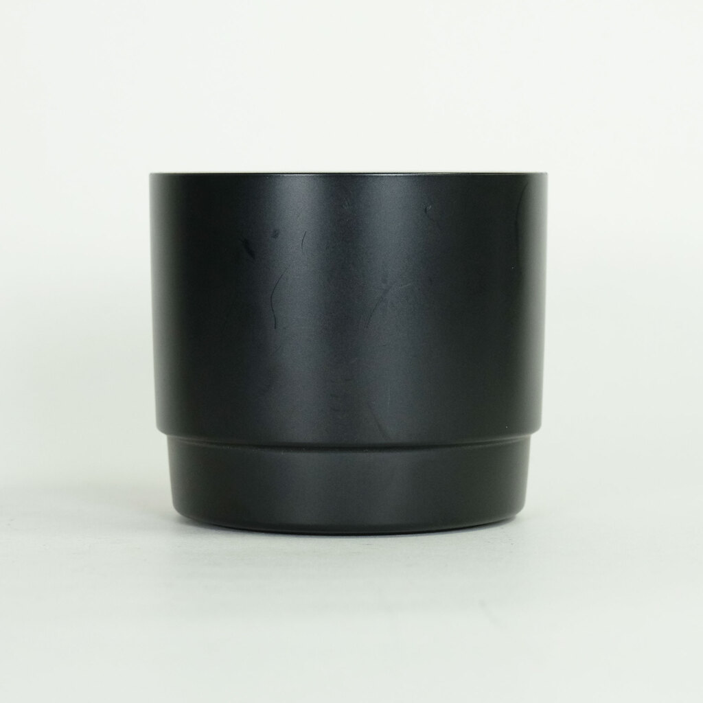 Canon EF100mm F2.8 マクロ USM