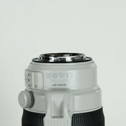Canon EF100-400mm F4.5-5.6L IS II USM