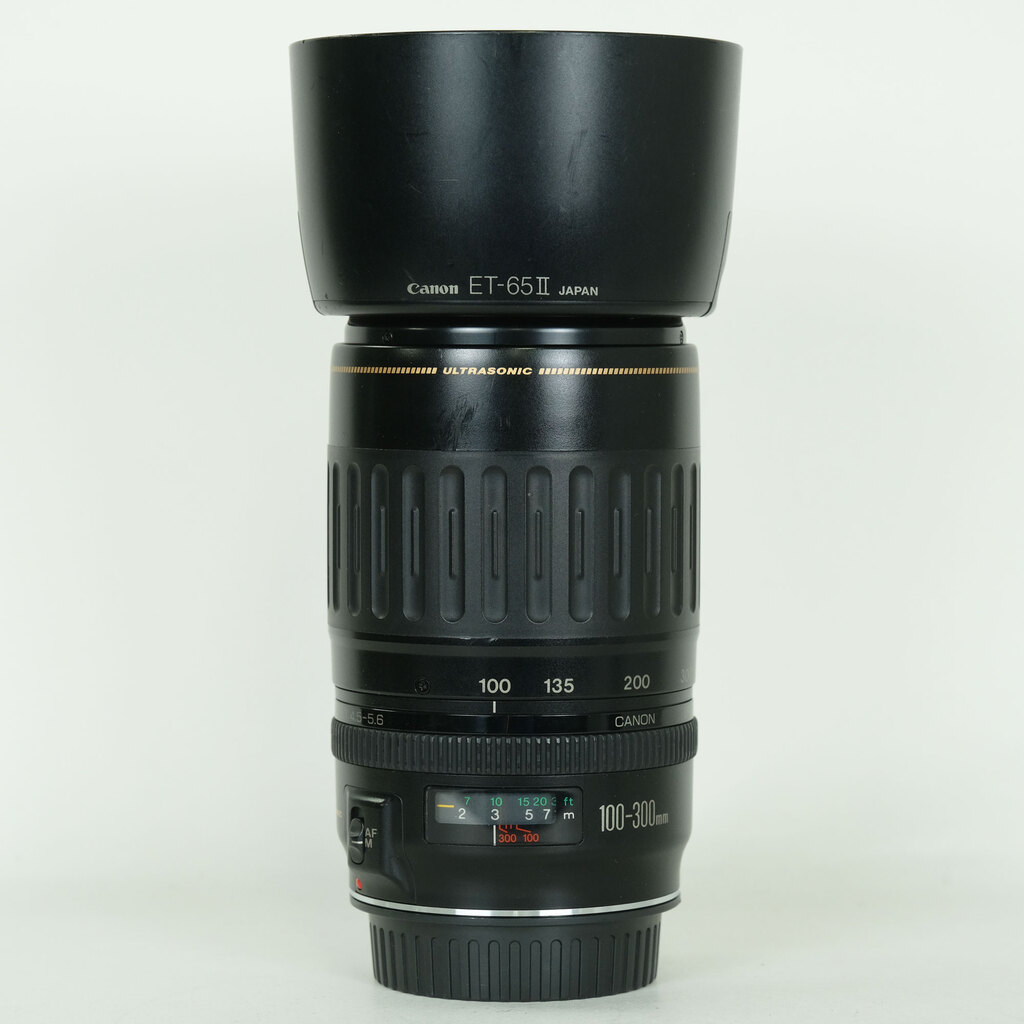 EF100-300mm F4.5-5.6 USM