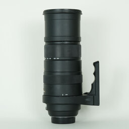 SIGMA APO 150-500mm F5-6.3DG OS HSM (ニコンF用) SIGMA APO 150-500mm F5-6.3DG OS HSM (ニコンF用)