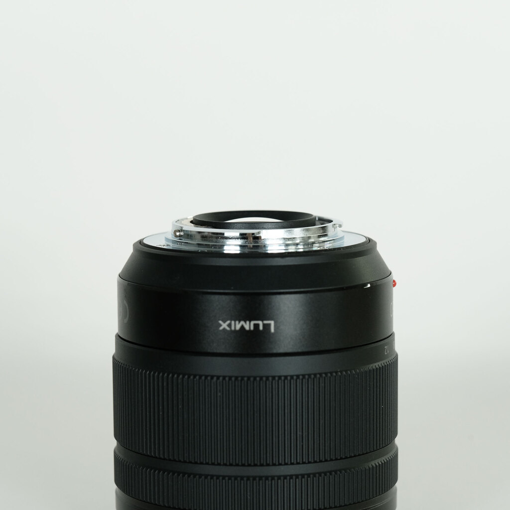 Panasonic LUMIX G VARIO 12-60mm / F3.5-5.6 ASPH. / POWER O.I.S.