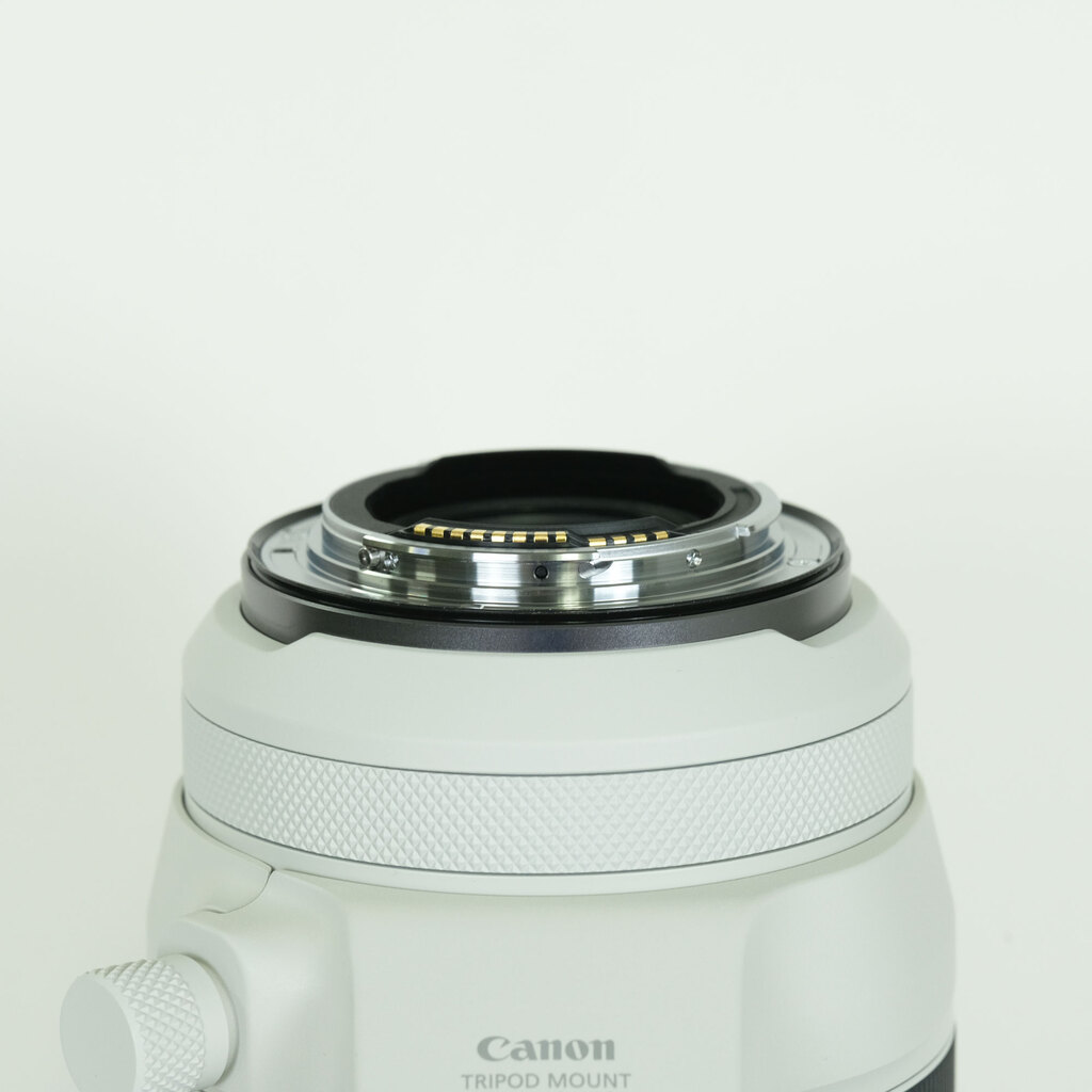 Canon RF100-500mm F4.5-7.1L IS USM Canon RF100-500mm F4.5-7.1L IS USM