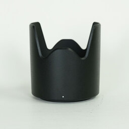 TAMRON SP 70-300mm F4-5.6 Di VC USD/Model A005NII(ニコン用)