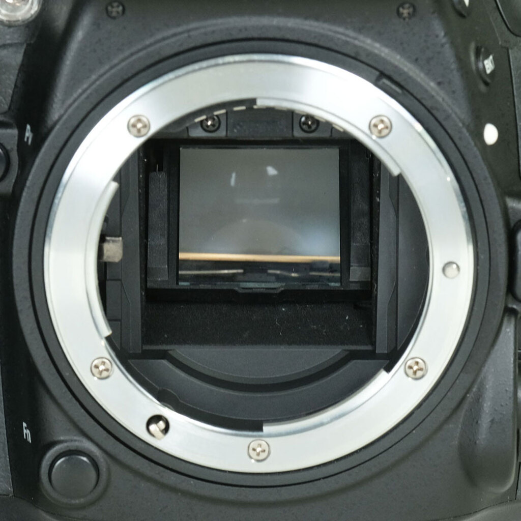Nikon D7100