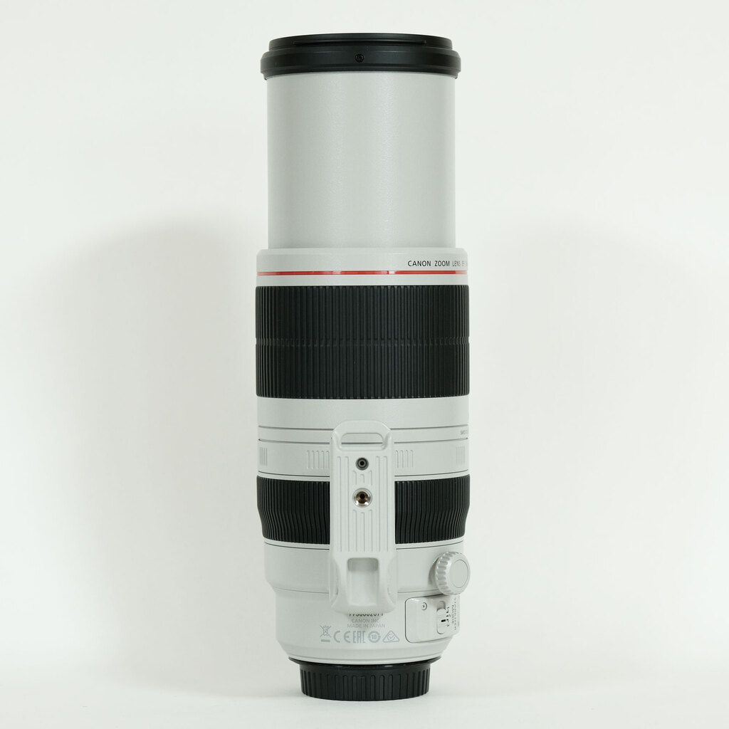 Canon EF100-400mm F4.5-5.6L IS II USM