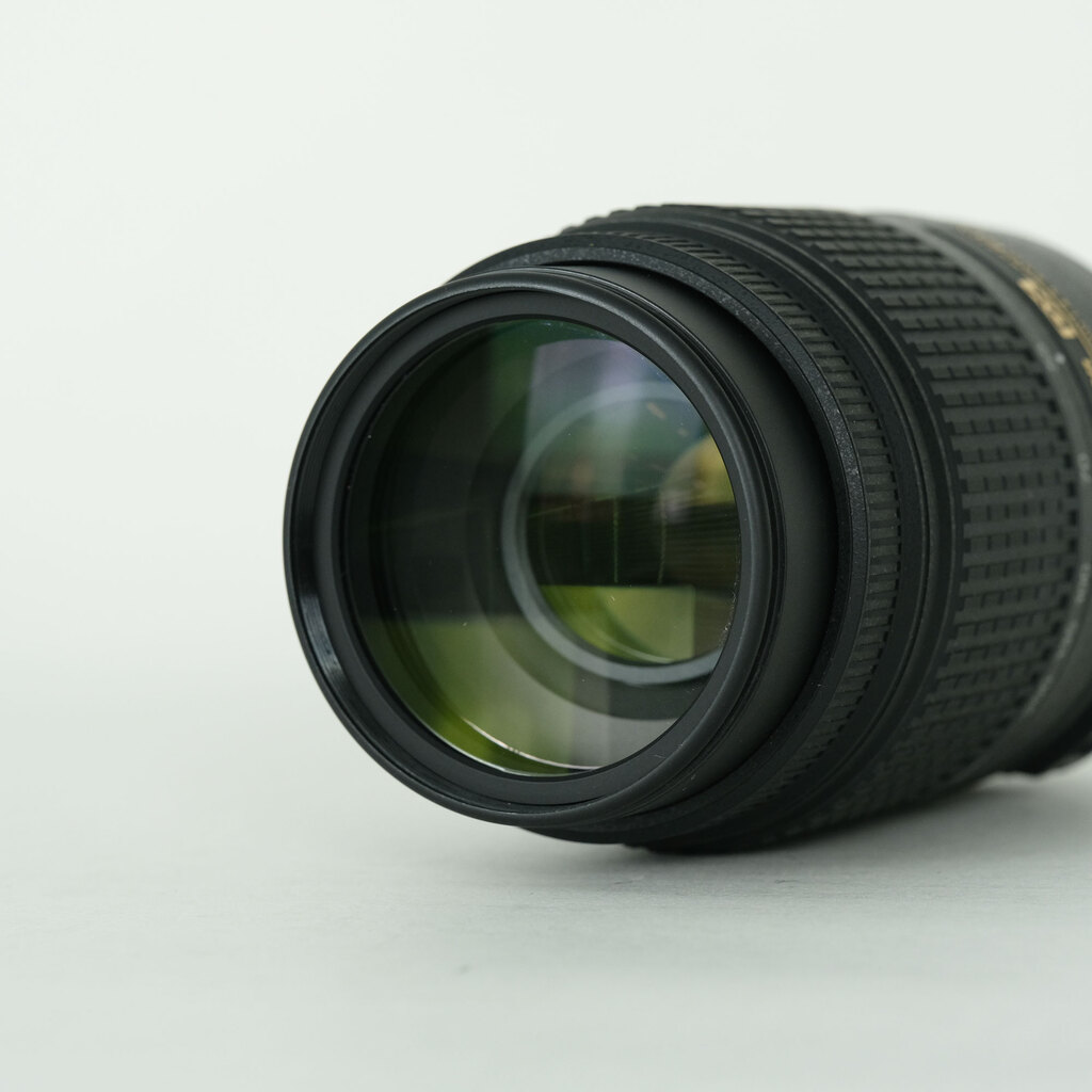 Nikon AF-S DX NIKKOR 55-300mm F4.5-5.6G ED VR
