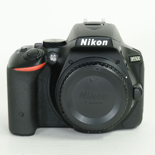 Nikon D5500