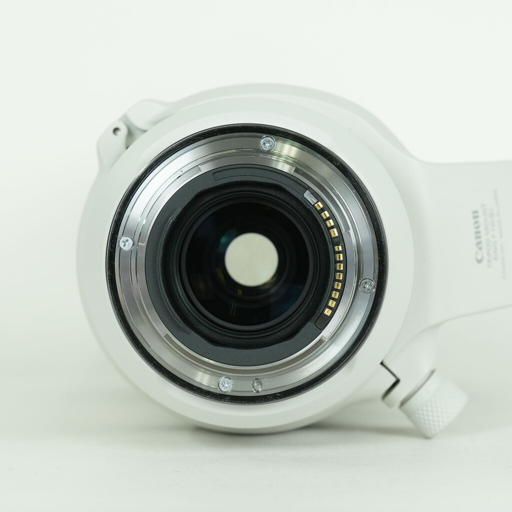 Canon RF100-500mm F4.5-7.1L IS USM