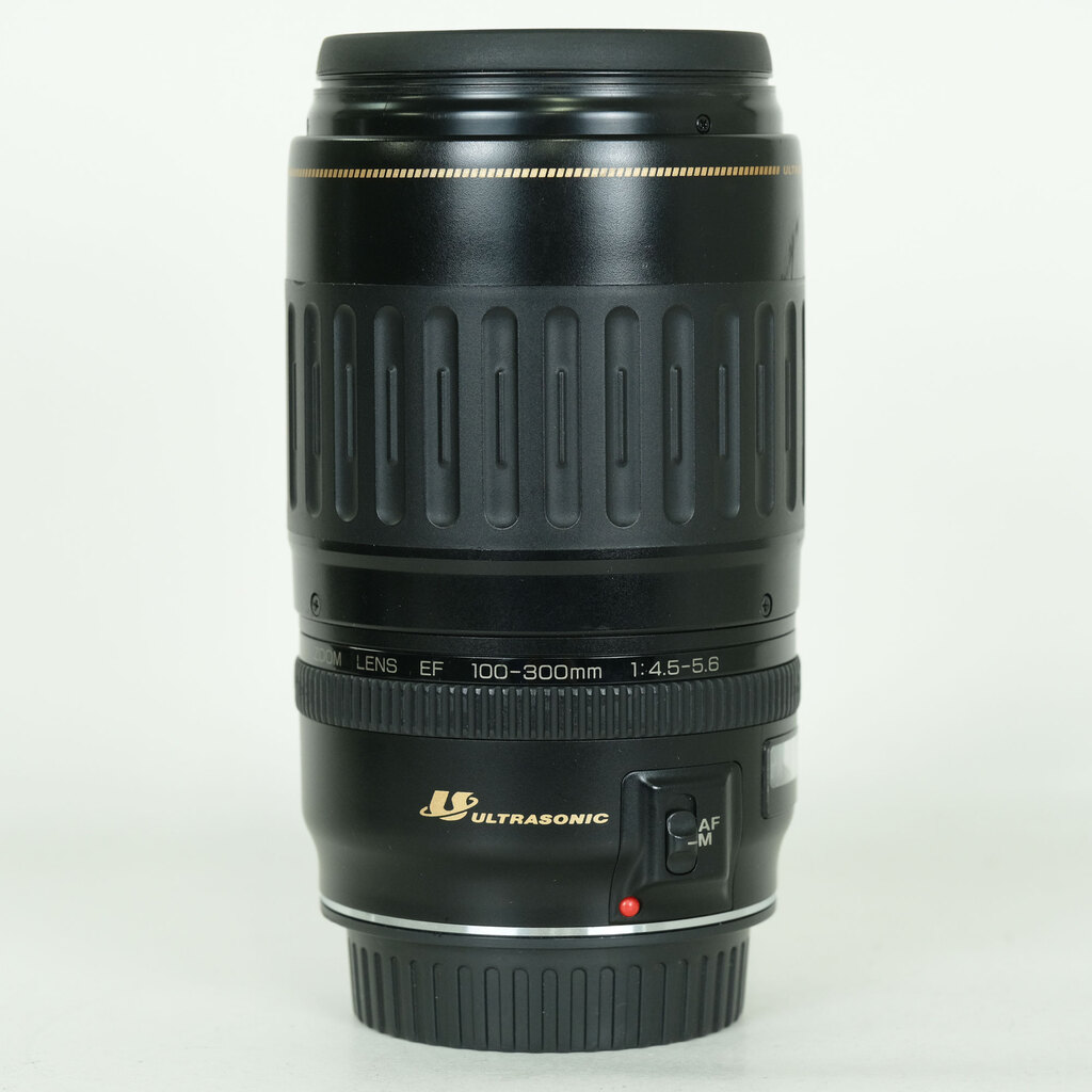 EF100-300mm F4.5-5.6 USM