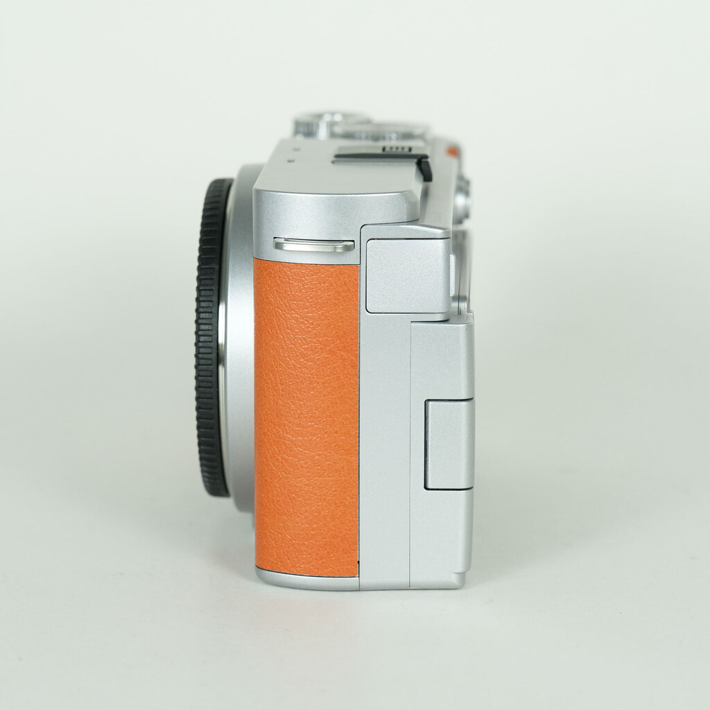 Panasonic LUMIX DC-S9