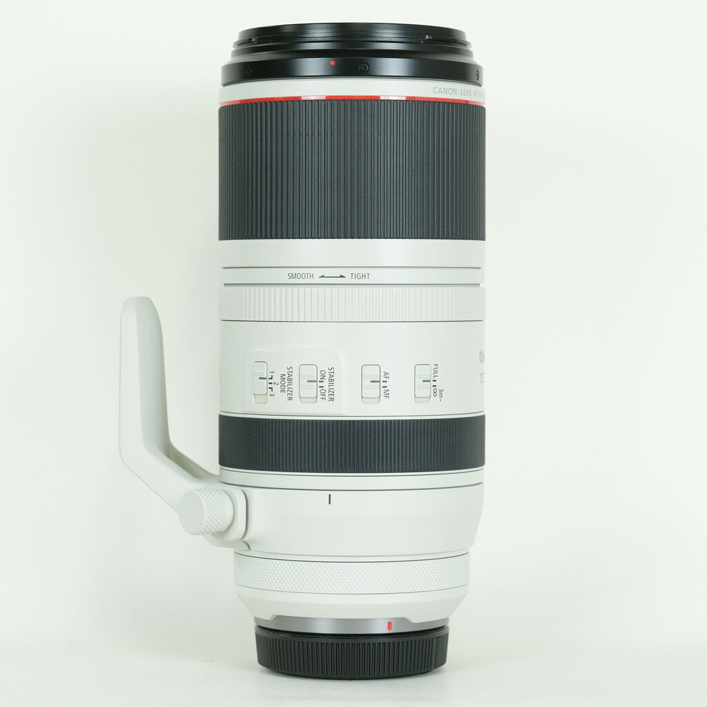 Canon RF100-500mm F4.5-7.1L IS USM